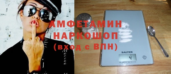 гашик Алексин