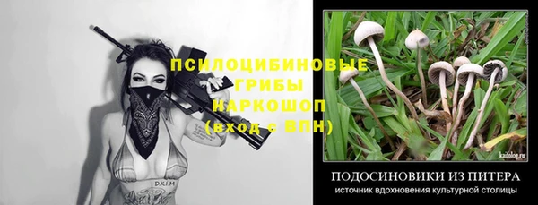 гашик Алексин