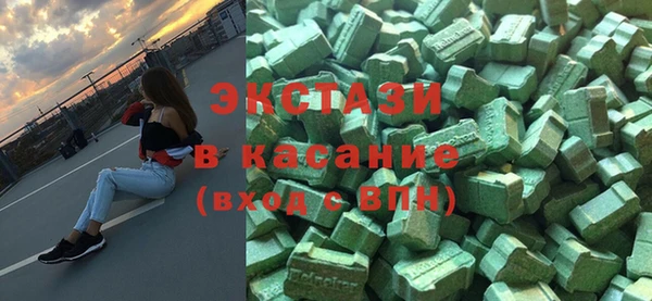 гашик Алексин