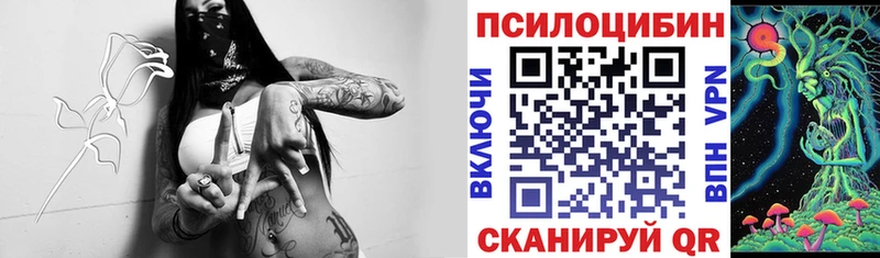 Галлюциногенные грибы Psilocybine cubensis  Рыбинск 